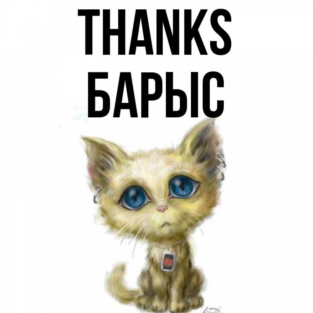 Greetings card с именем, Барыс Thanks рисованный кот благодарит вас Greetings with text for free download 