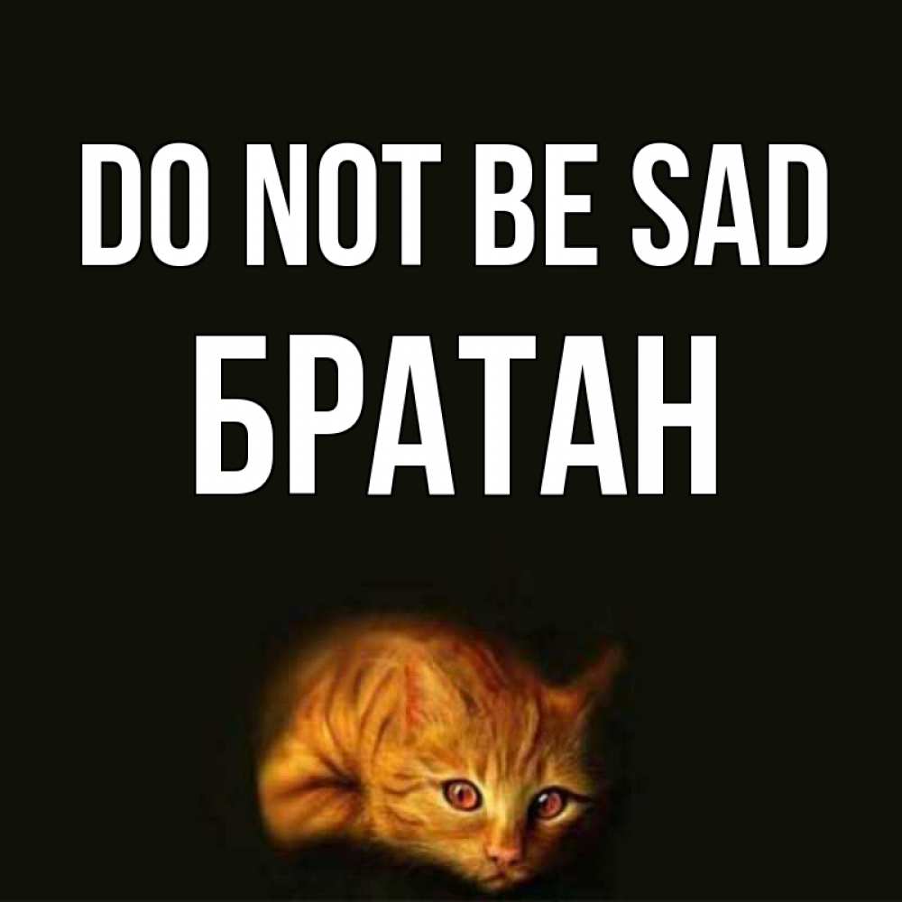 Greetings card с именем, Братан Do not be sad лежащий кот в темноте Greetings with text for free download 