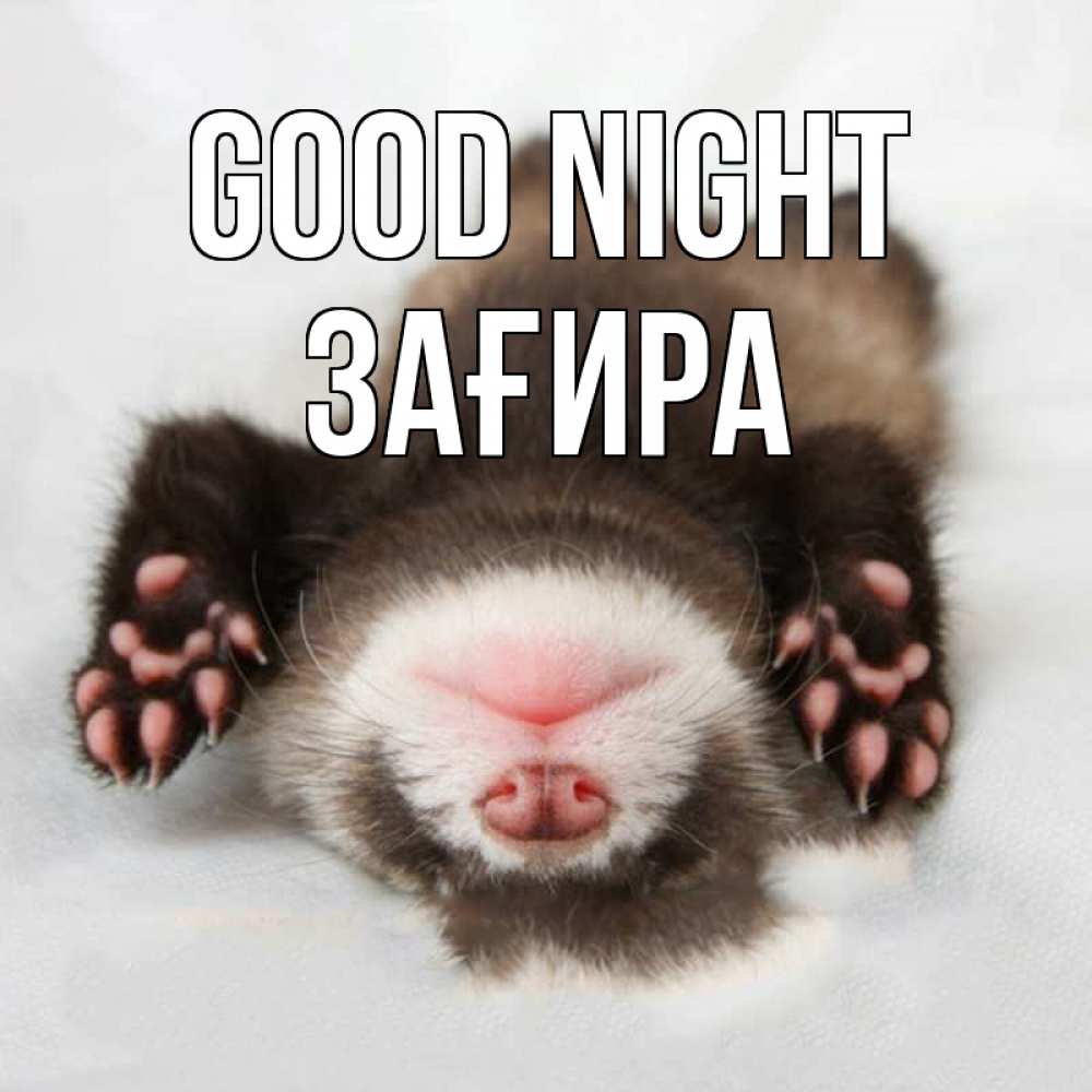 Greetings card с именем, ЗАҒИРА Good night зверек Greetings with text for free download 