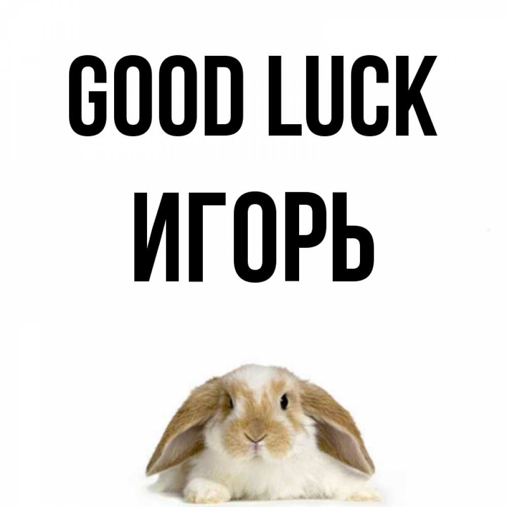 Greetings card с именем, Игорь Good luck открытки с произвольным текстом который можно вставить в открытку и создать ее самостоятельно бесплатно онлайн Greetings with text for free download 