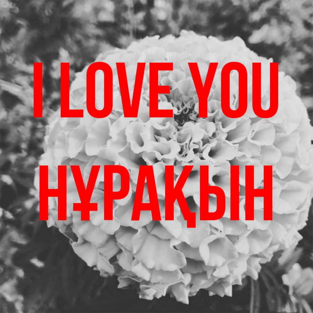 Greetings card с именем, НҰРАҚЫН I love you подпись Greetings with text for free download 