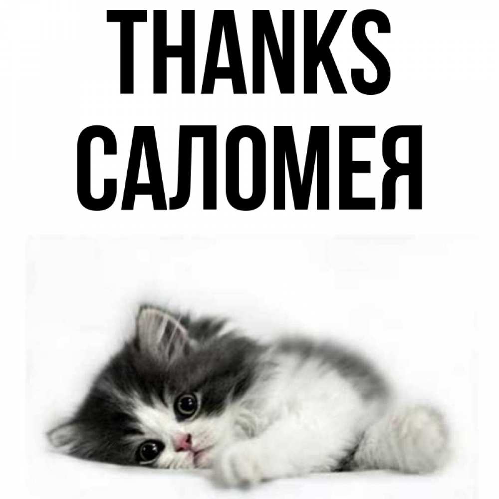 Greetings card с именем, Саломея Thanks черный и белый кот Greetings with text for free download 