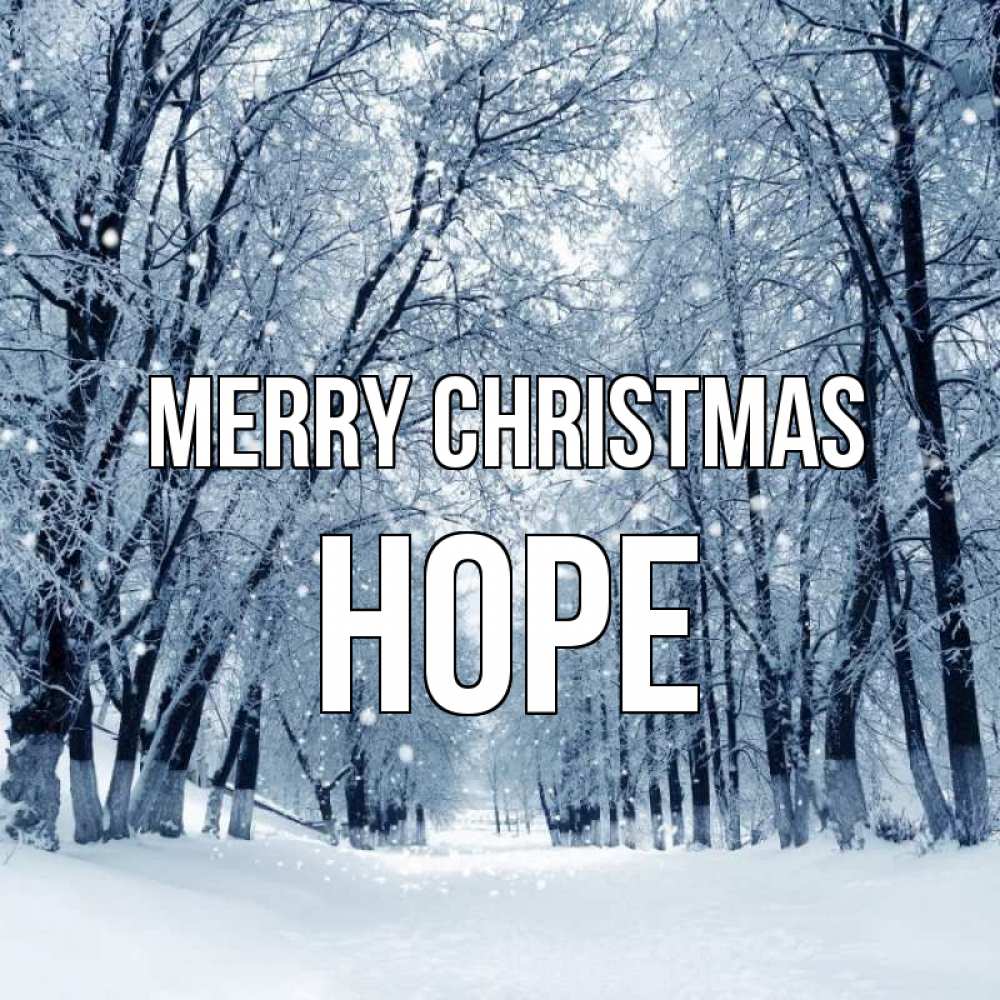 Greetings card с именем, Hope Merry Christmas снег, лес, парк Greetings with text for free download 