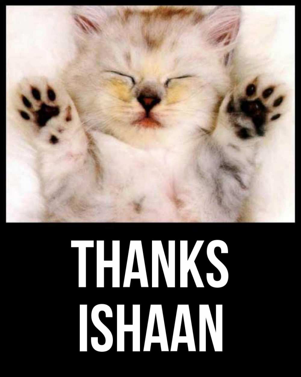 Greetings card с именем, Ishaan Thanks маленький котенок Greetings with text for free download 