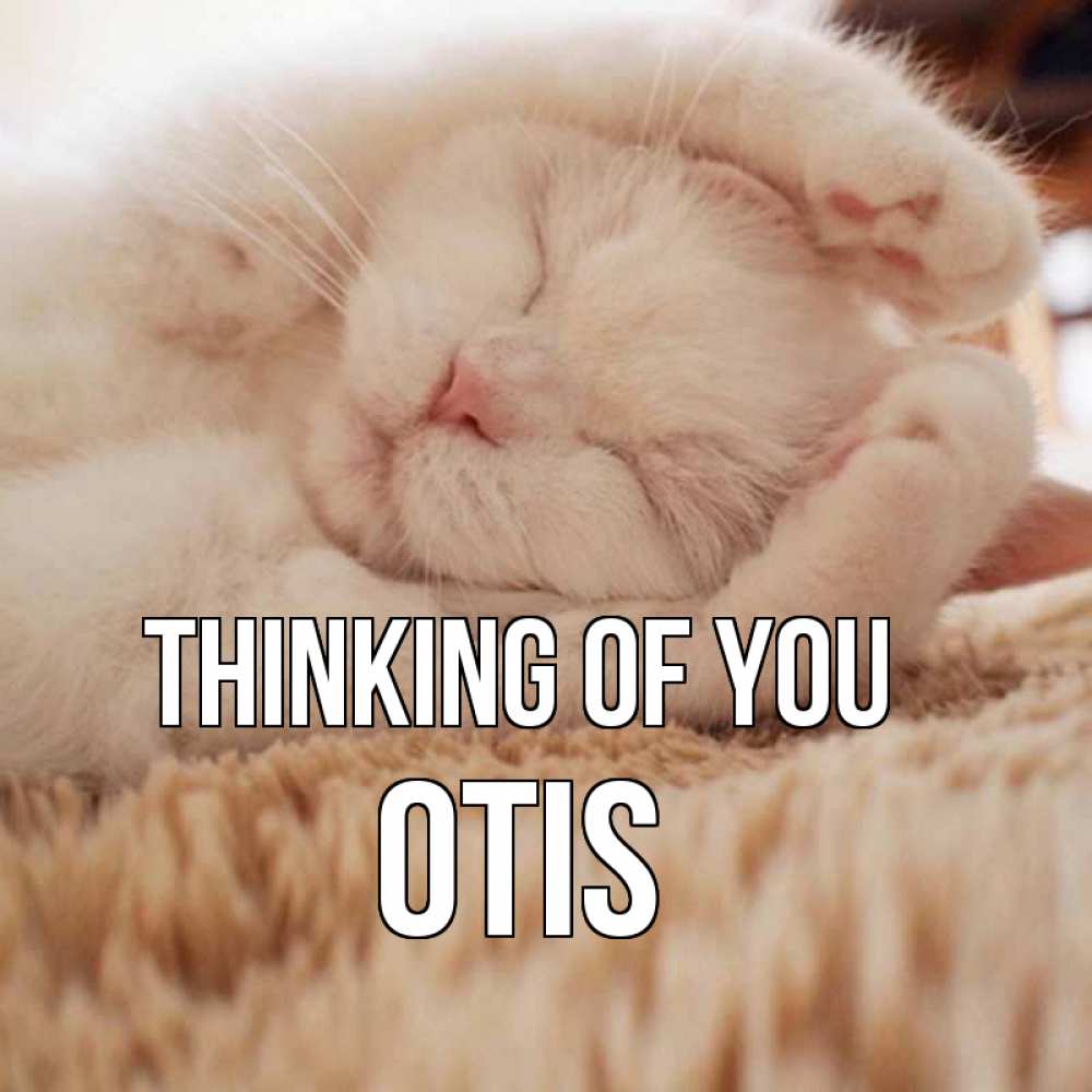 Greetings card с именем, Otis Thinking of you для любимой девушки милота Greetings with text for free download 