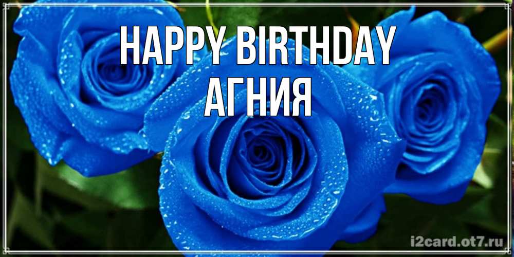 Greetings card с именем, Агния Happy Birthday розы с синим цветом Greetings with text for free download 