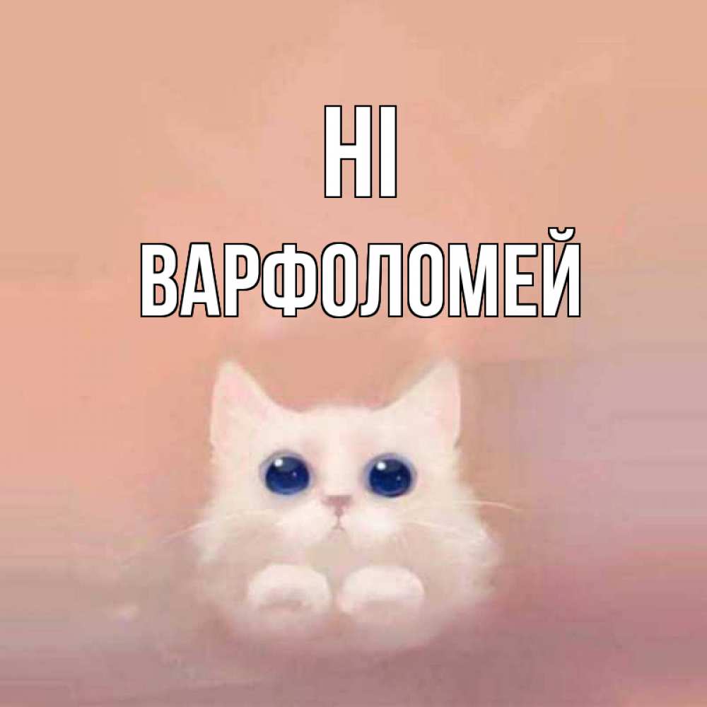 Greetings card с именем, Варфоломей Hi котик белый в полете Greetings with text for free download 