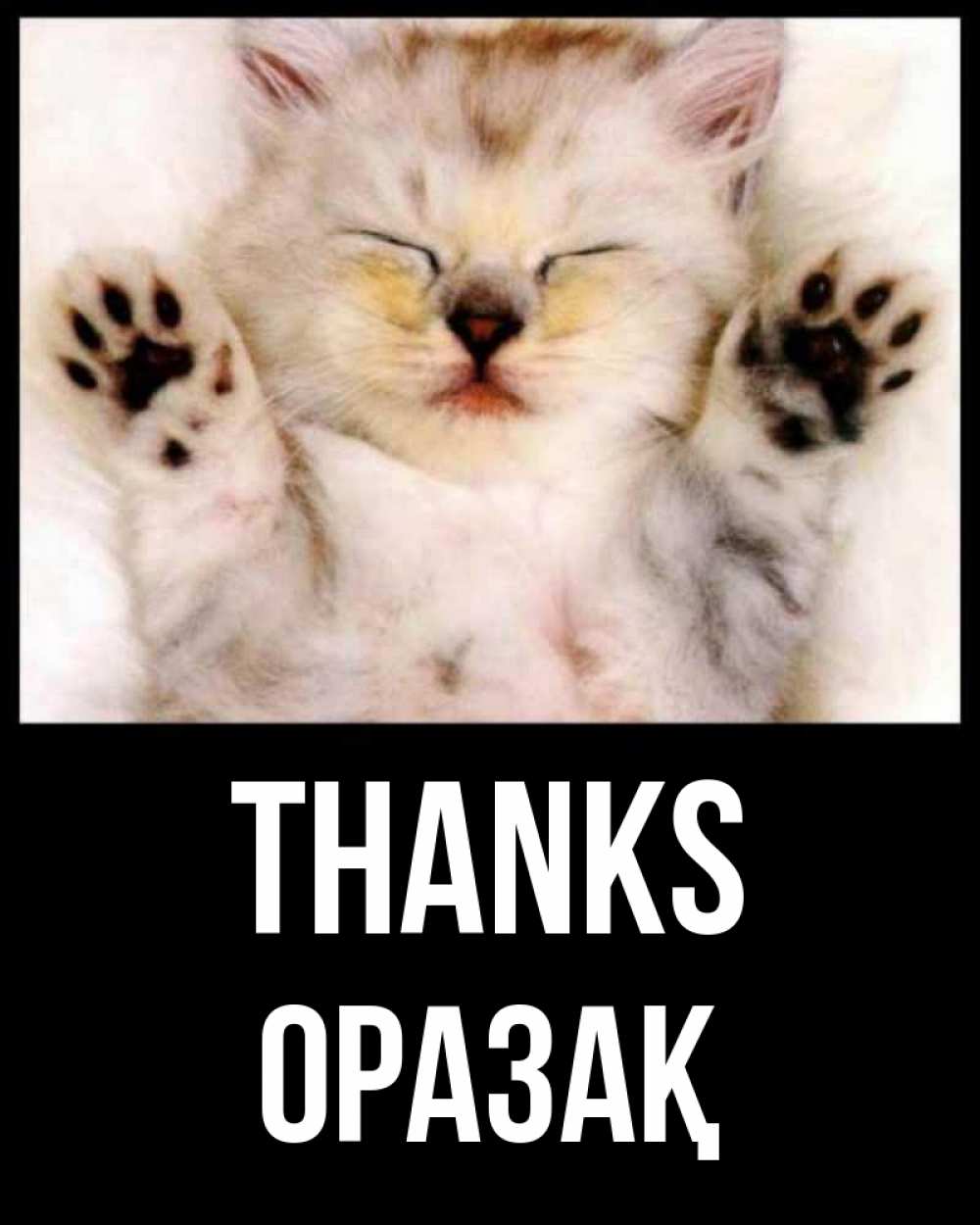 Greetings card с именем, ОРАЗАҚ Thanks маленький котенок Greetings with text for free download 
