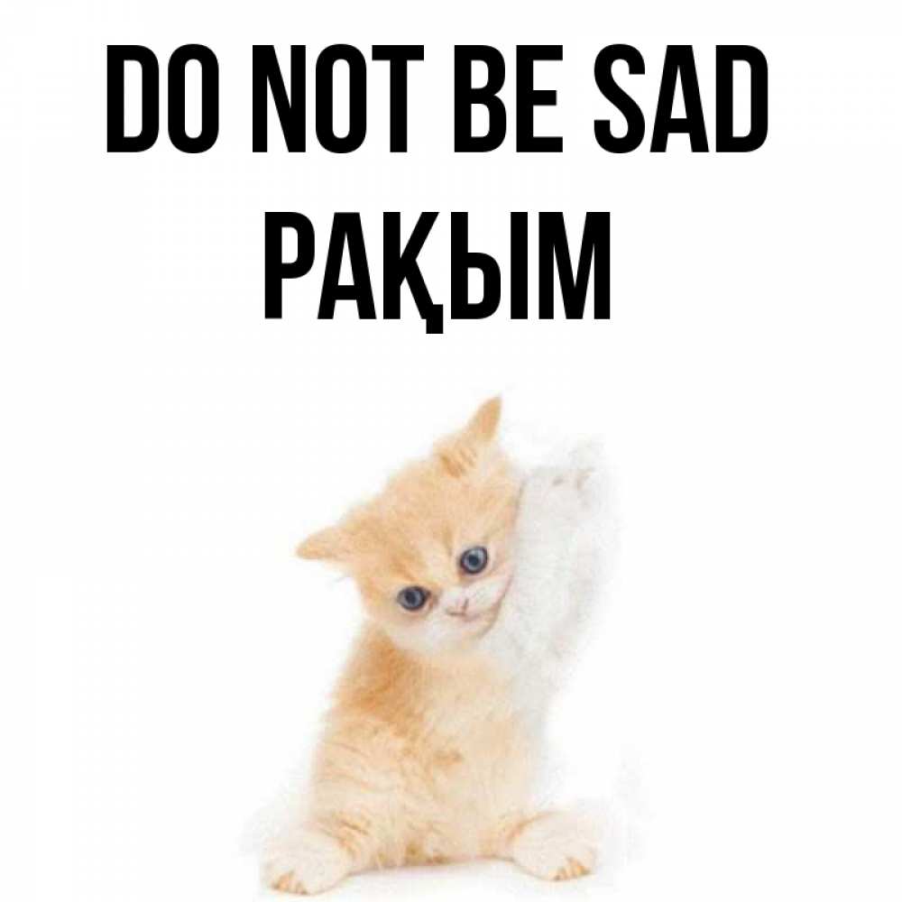 Greetings card с именем, РАҚЫМ Do not be sad просящий кот Greetings with text for free download 