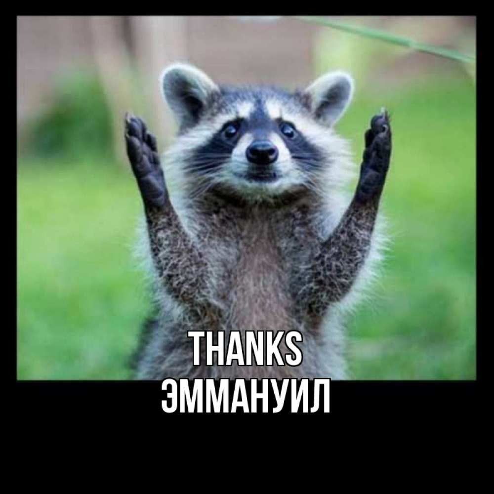 Greetings card с именем, Эммануил Thanks милые животные Greetings with text for free download 