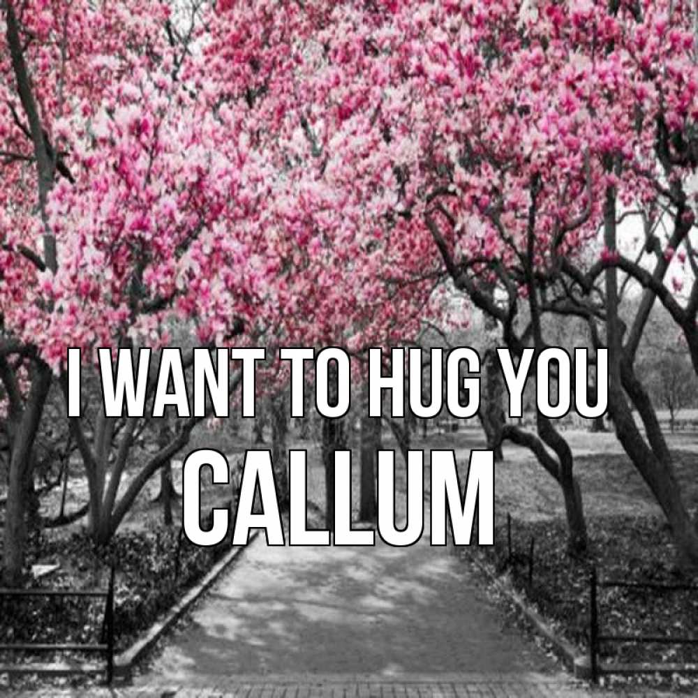 Greetings card с именем, Callum I want to hug you обработанное фото Greetings with text for free download 