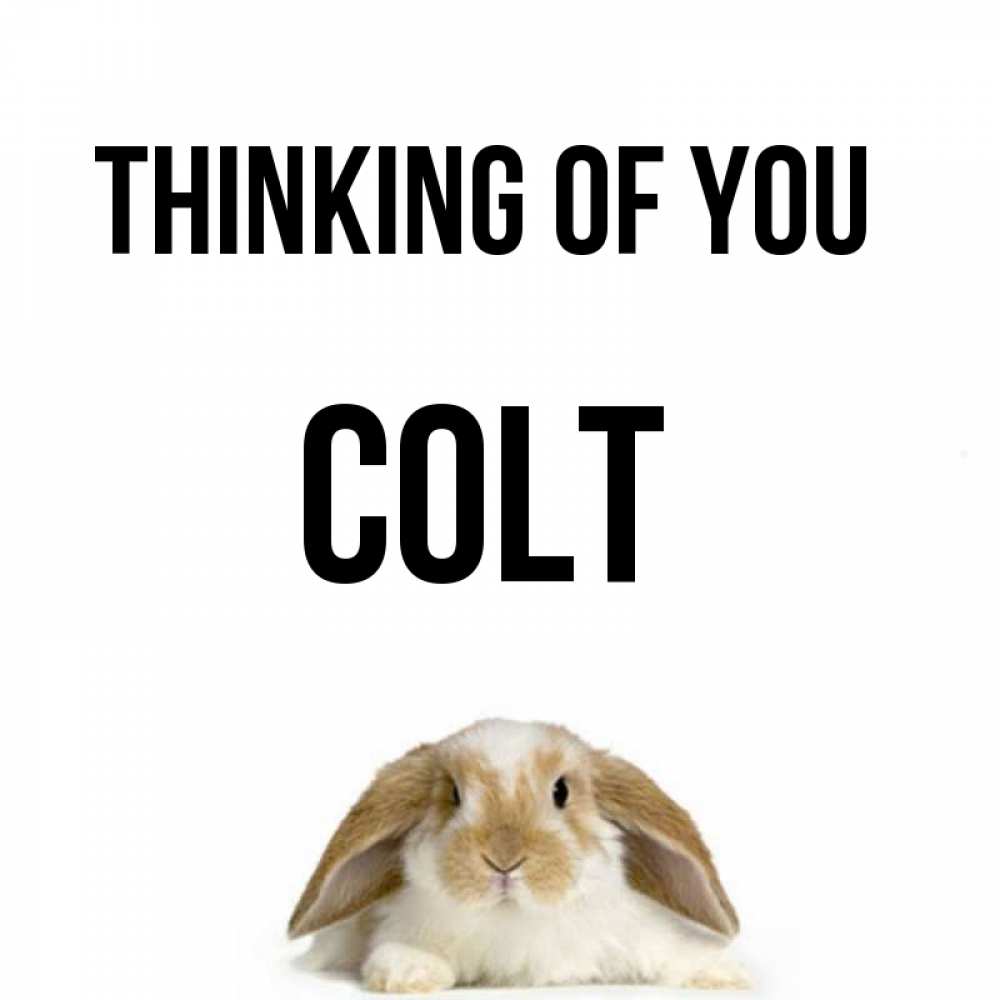 Greetings card с именем, Colt Thinking of you подписать своими руками онлайн Greetings with text for free download 