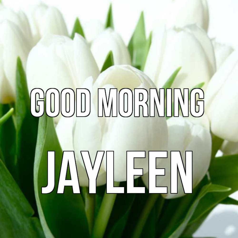 Greetings card с именем, Jayleen Good morning открытки на каждый день по именам Greetings with text for free download 