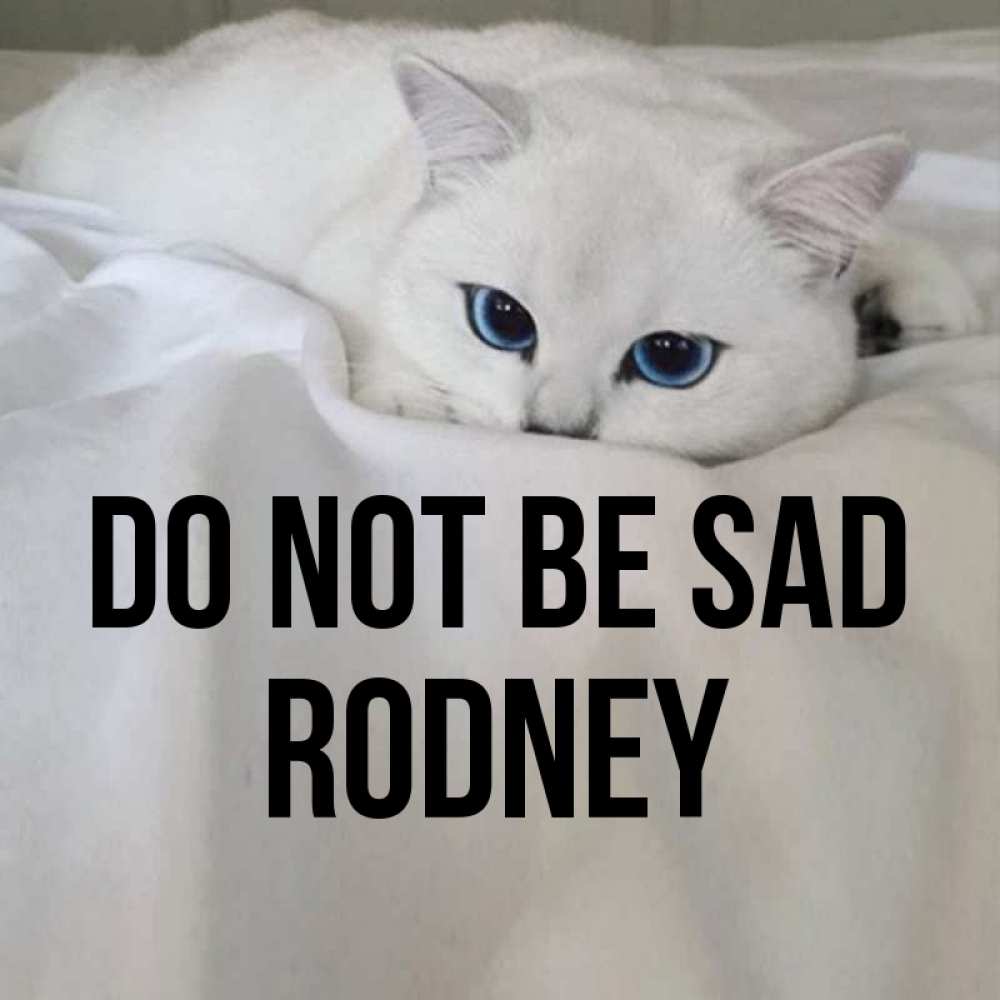 Greetings card с именем, Rodney Do not be sad Голубоглазая кошка Greetings with text for free download 