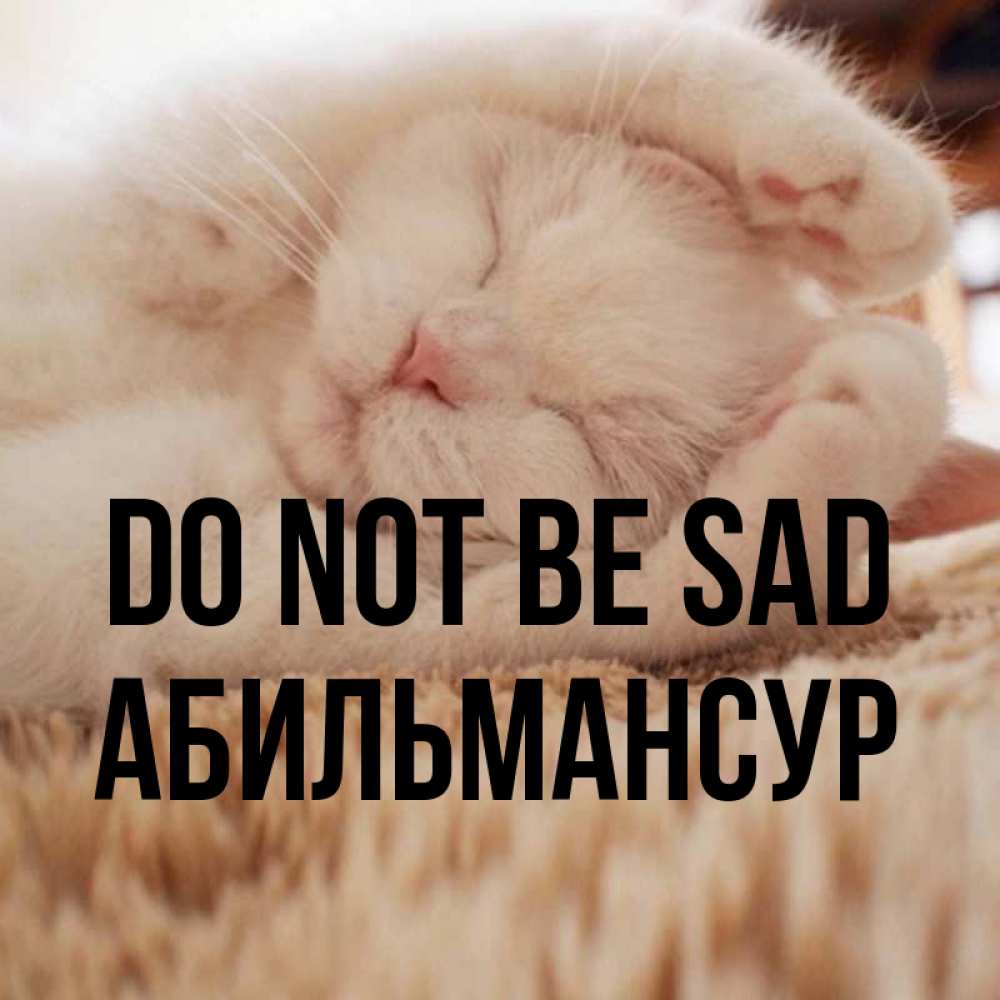 Greetings card с именем, Абильмансур Do not be sad Котенок спит Greetings with text for free download 