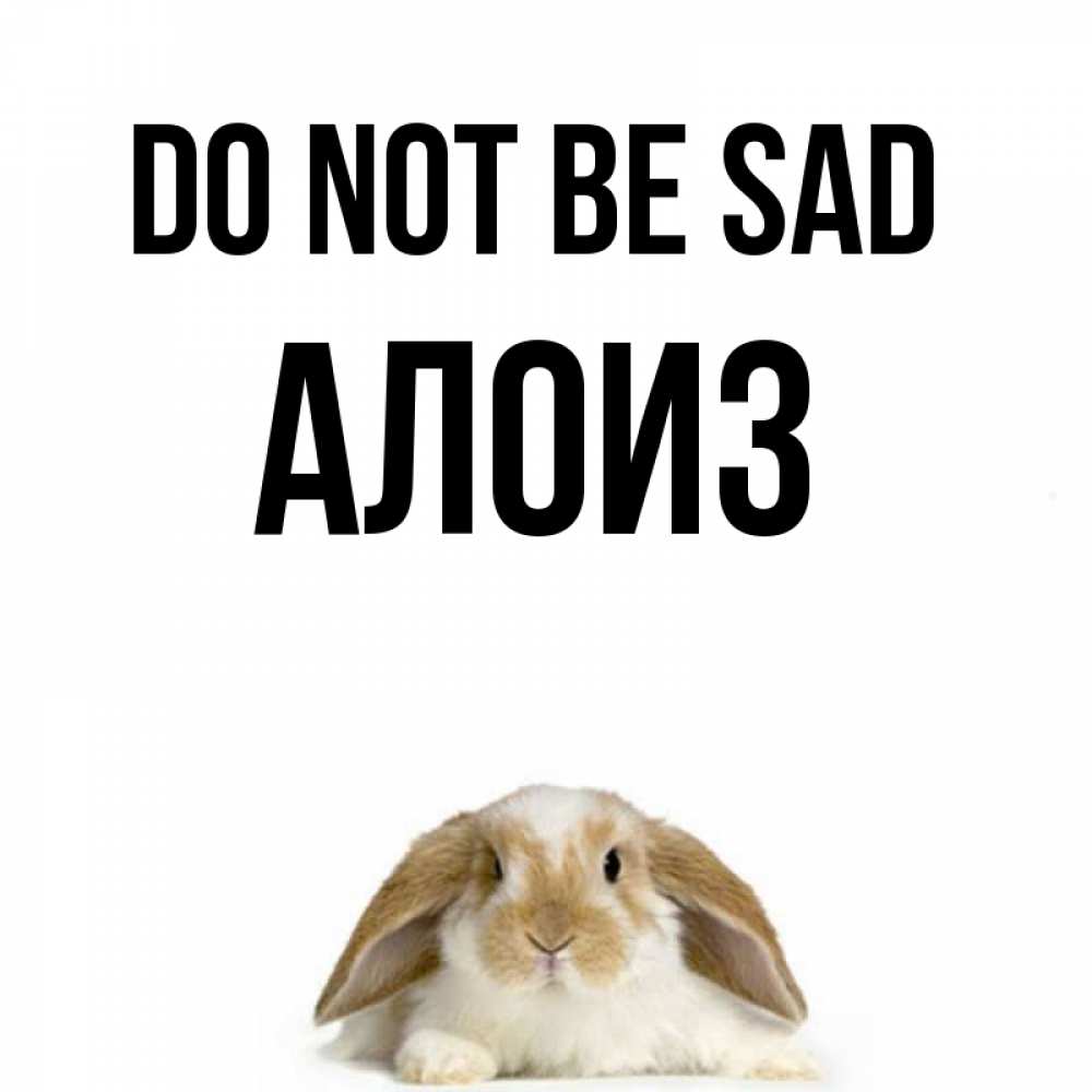 Greetings card с именем, Алоиз Do not be sad коричнево белый заяц с большими ушками Greetings with text for free download 