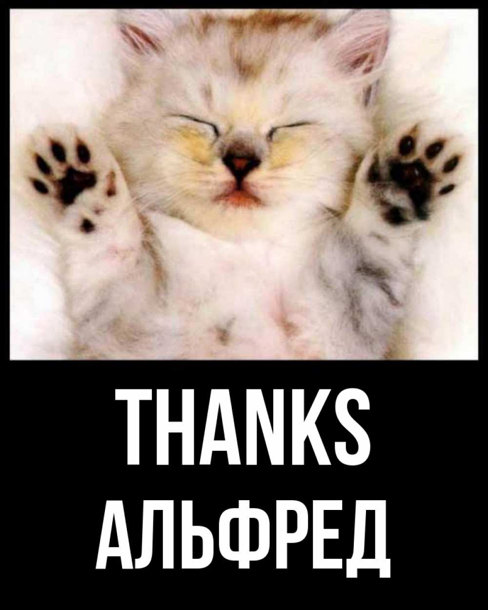 Greetings card с именем, Альфред Thanks маленький котенок Greetings with text for free download 