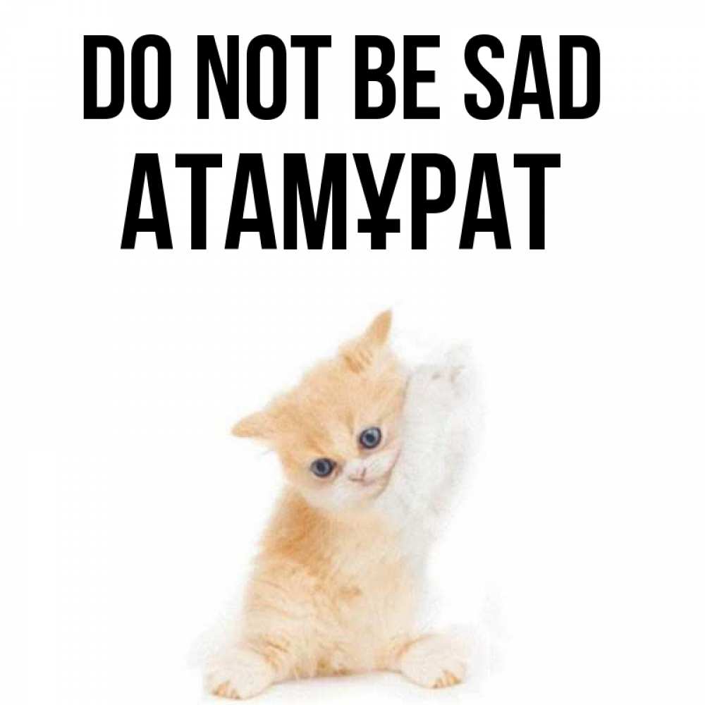 Greetings card с именем, Атамұрат Do not be sad просящий кот Greetings with text for free download 