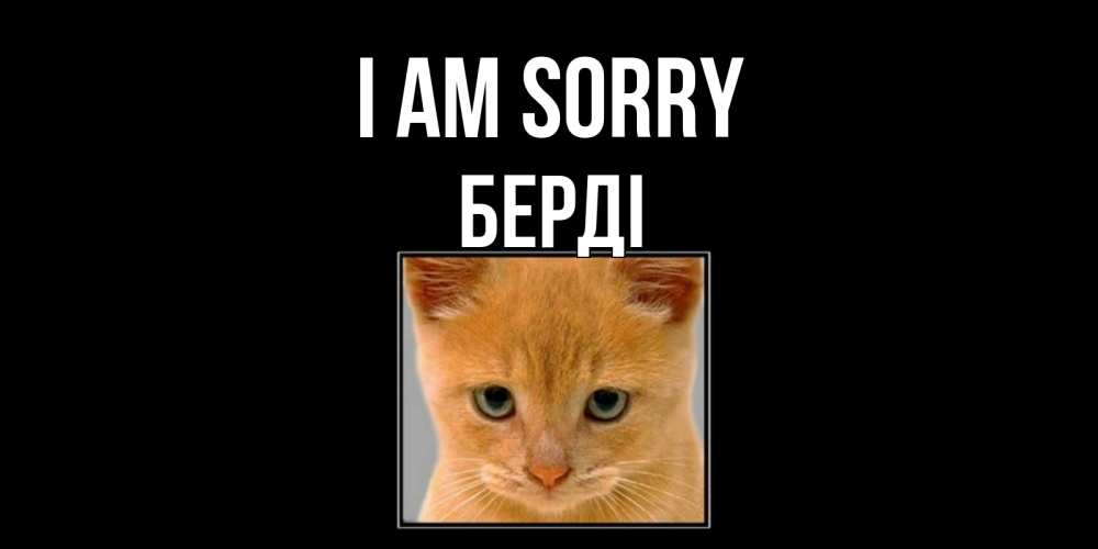 Greetings card с именем, Берді I am sorry рыжий грустный кот просит прощения Greetings with text for free download 