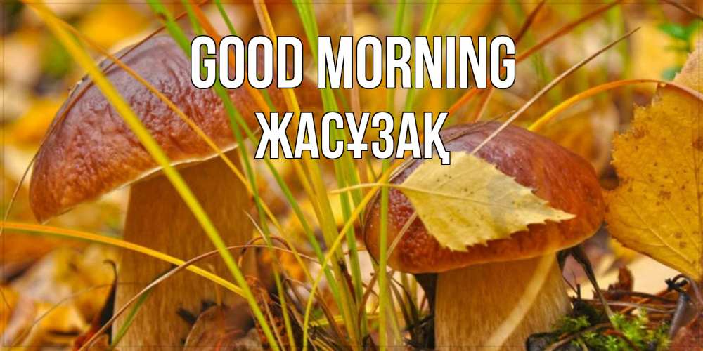 Greetings card с именем, Жасұзақ Good morning осенние грибы Greetings with text for free download 