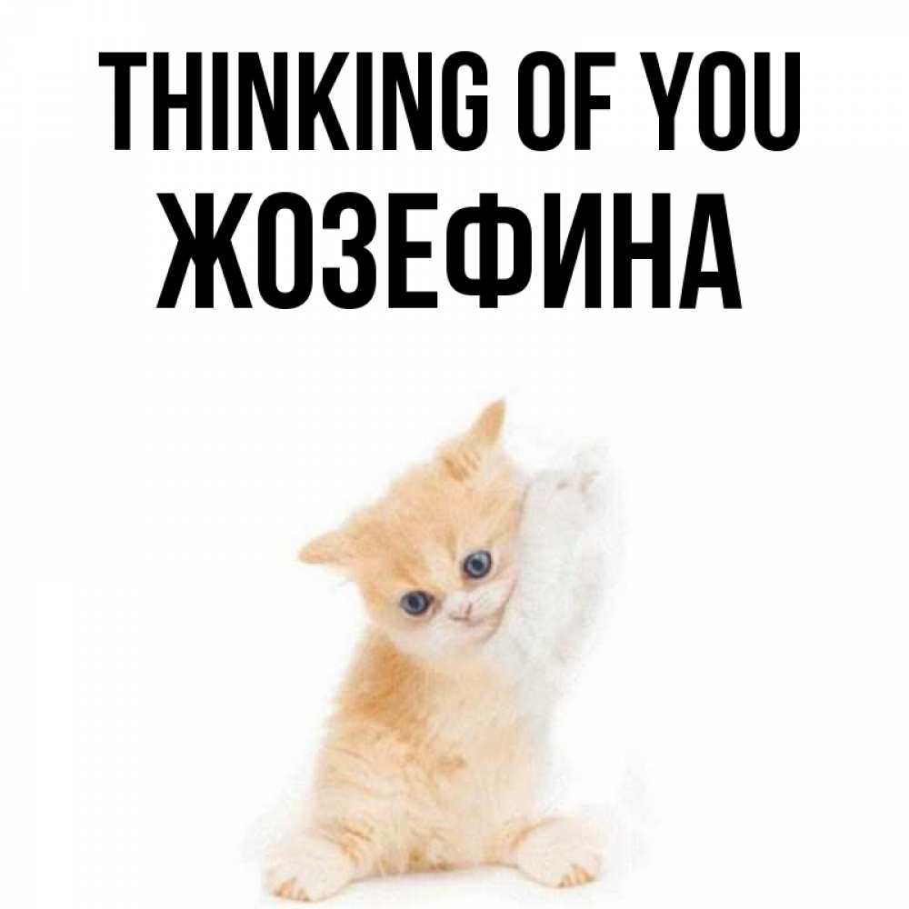 Greetings card с именем, Жозефина Thinking of you зверушки и милота Greetings with text for free download 
