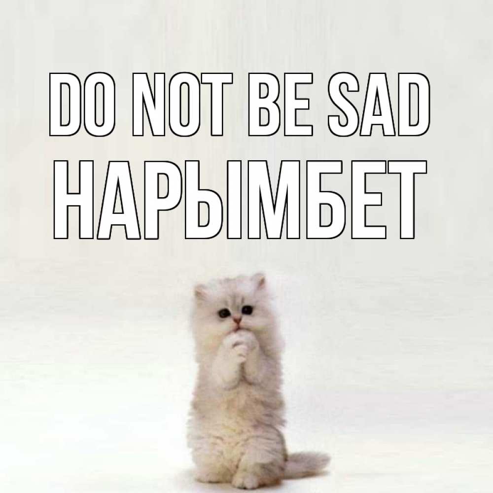 Greetings card с именем, Нарымбет Do not be sad грустный кот Greetings with text for free download 
