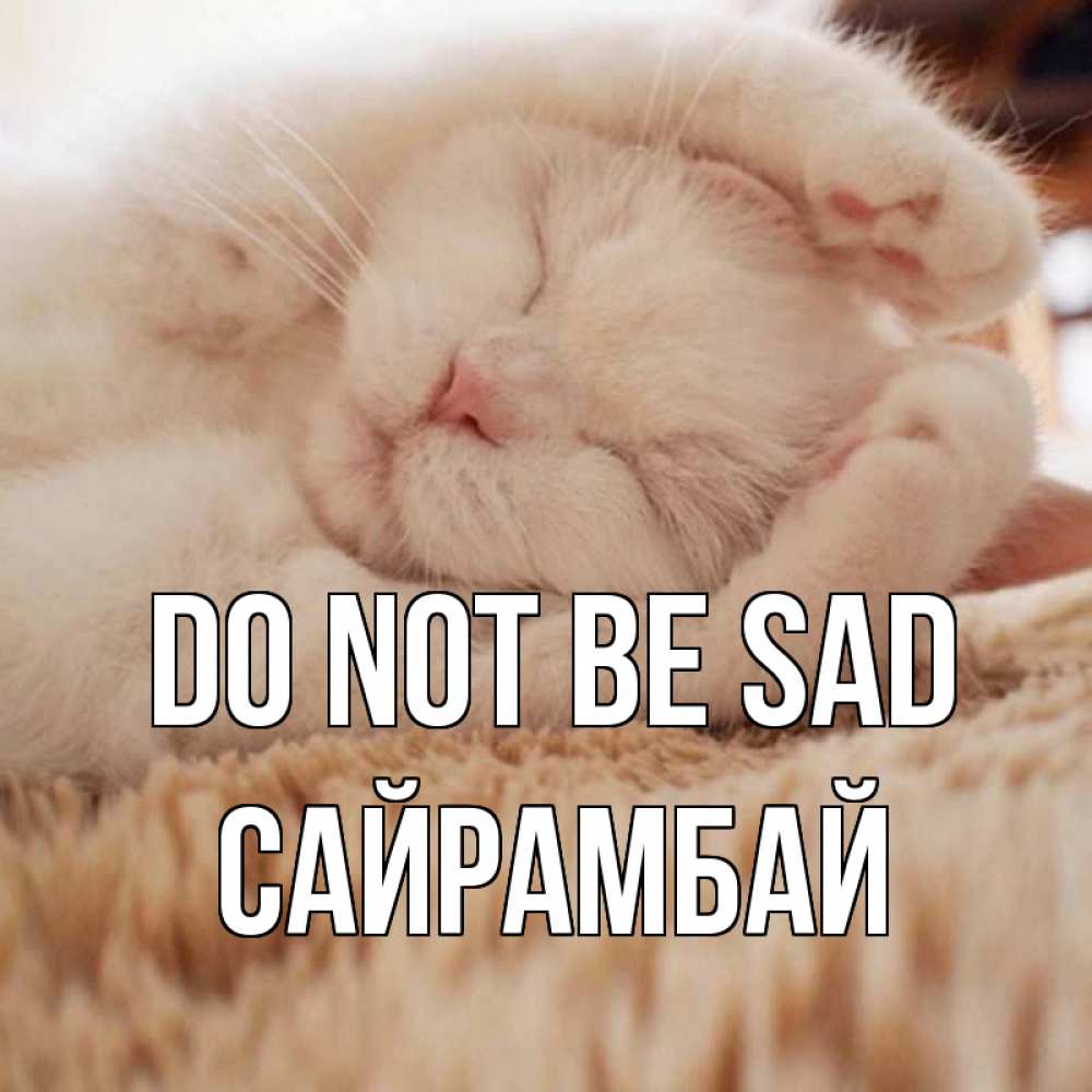 Greetings card с именем, САЙРАМБАЙ Do not be sad белый кот Greetings with text for free download 