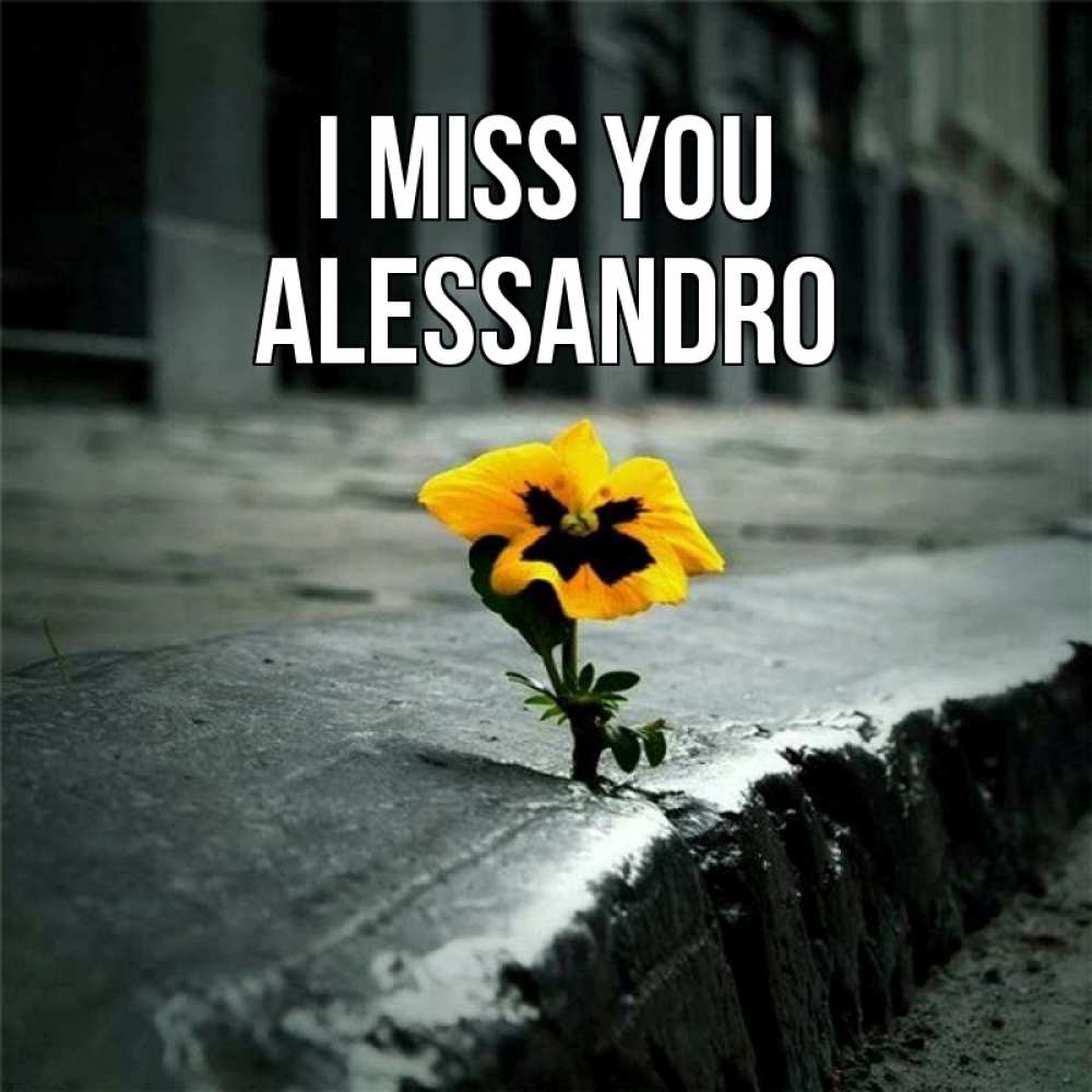 Greetings card с именем, Alessandro I miss you надеюсь будет лучше Greetings with text for free download 