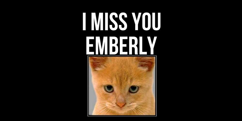 Greetings card с именем, Emberly I miss you открытки рыжий котенок скучает по тебе Greetings with text for free download 