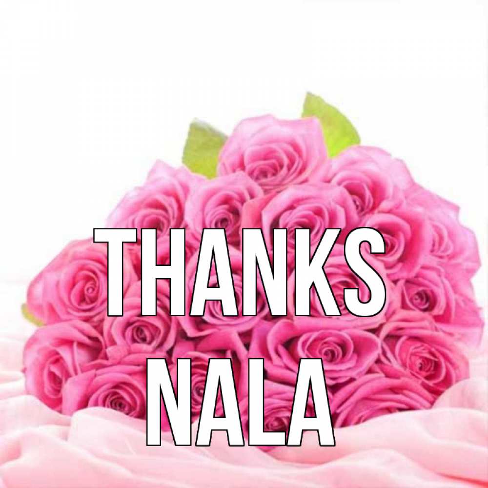 Greetings card с именем, Nala Thanks розовые розы с подписью Greetings with text for free download 