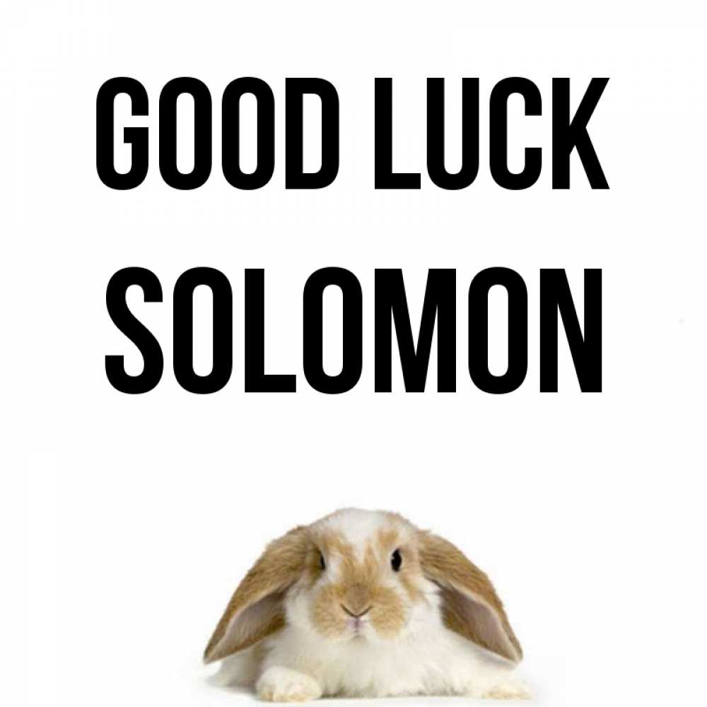 Greetings card с именем, Solomon Good luck открытки с произвольным текстом который можно вставить в открытку и создать ее самостоятельно бесплатно онлайн Greetings with text for free download 