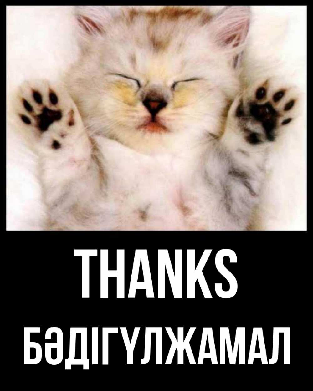 Greetings card с именем, БӘДІГҮЛЖАМАЛ Thanks маленький котенок Greetings with text for free download 