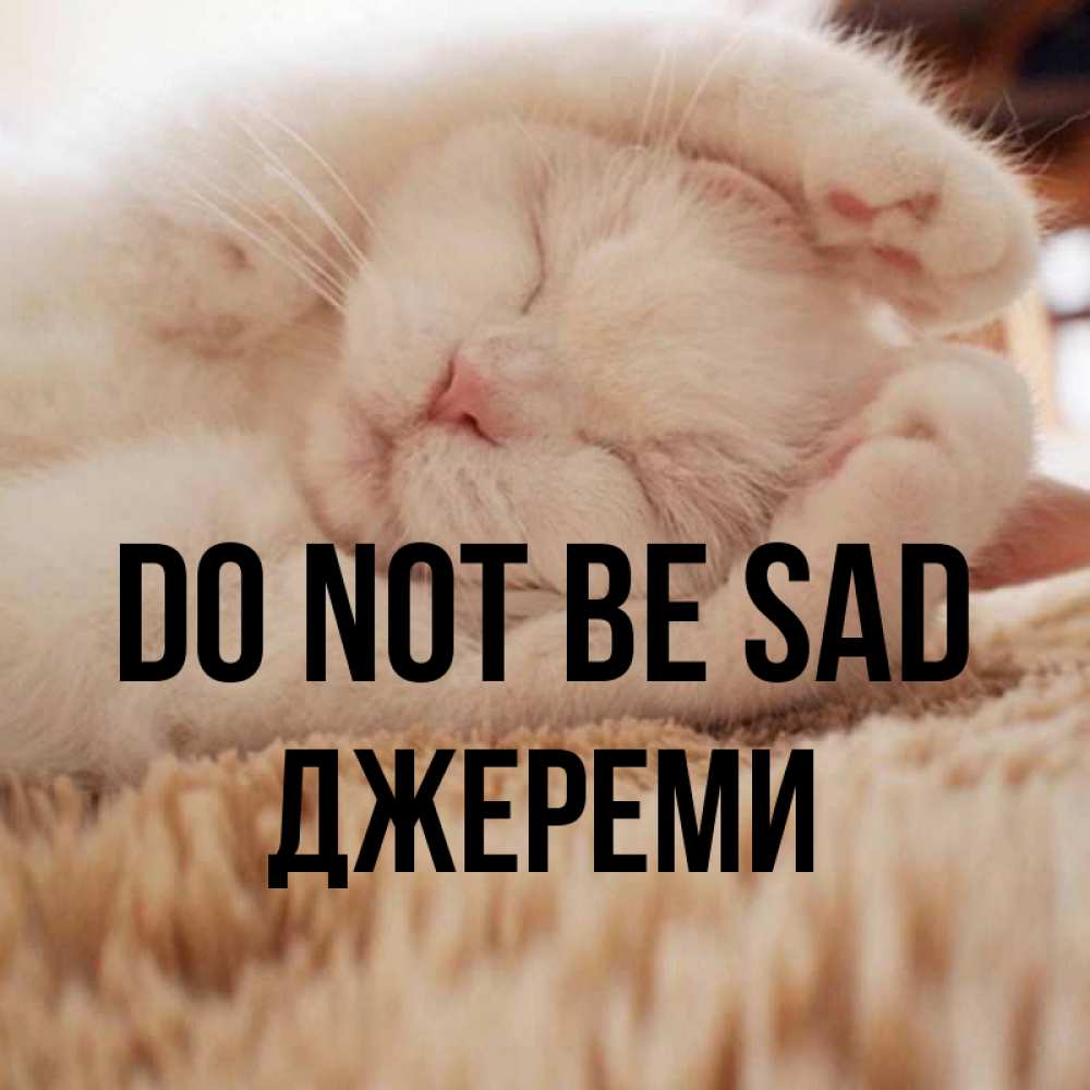Greetings card с именем, Джереми Do not be sad Котенок спит Greetings with text for free download 