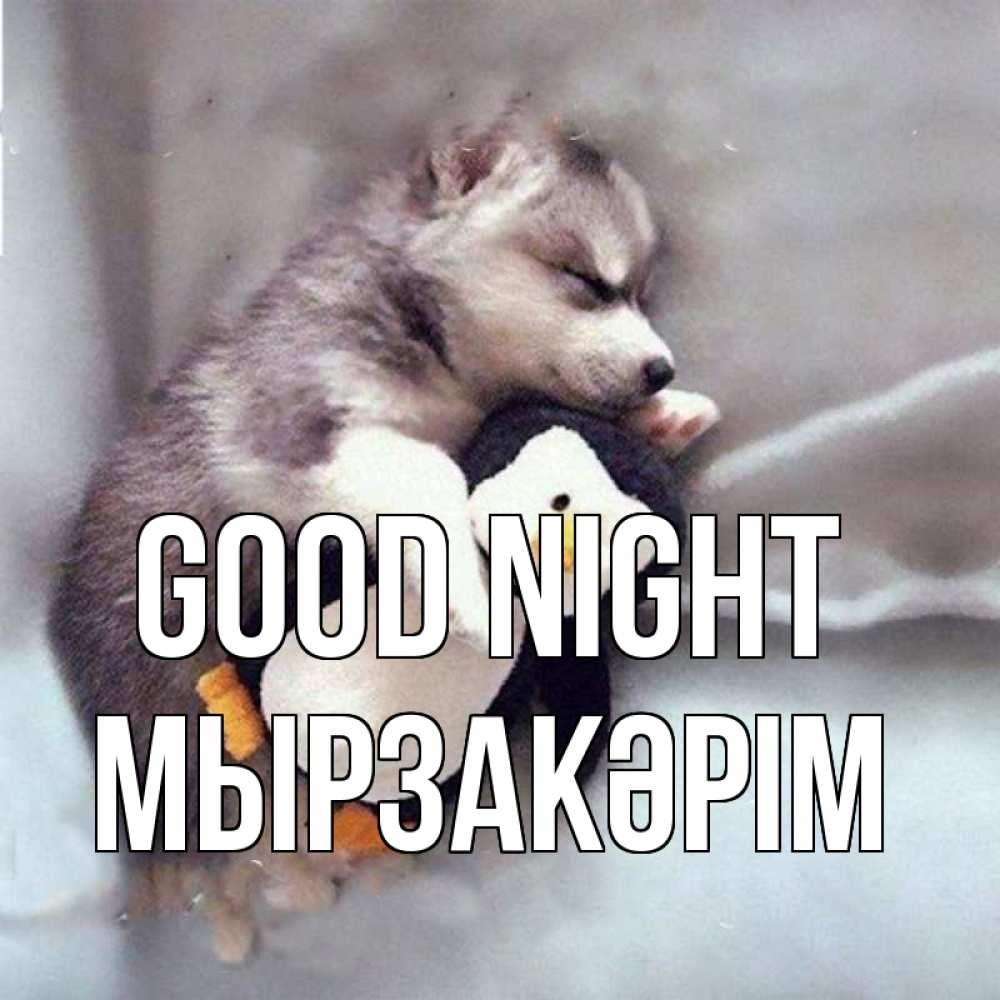 Greetings card с именем, Мырзакәрім Good night обнимашки щенка и пингвина Greetings with text for free download 