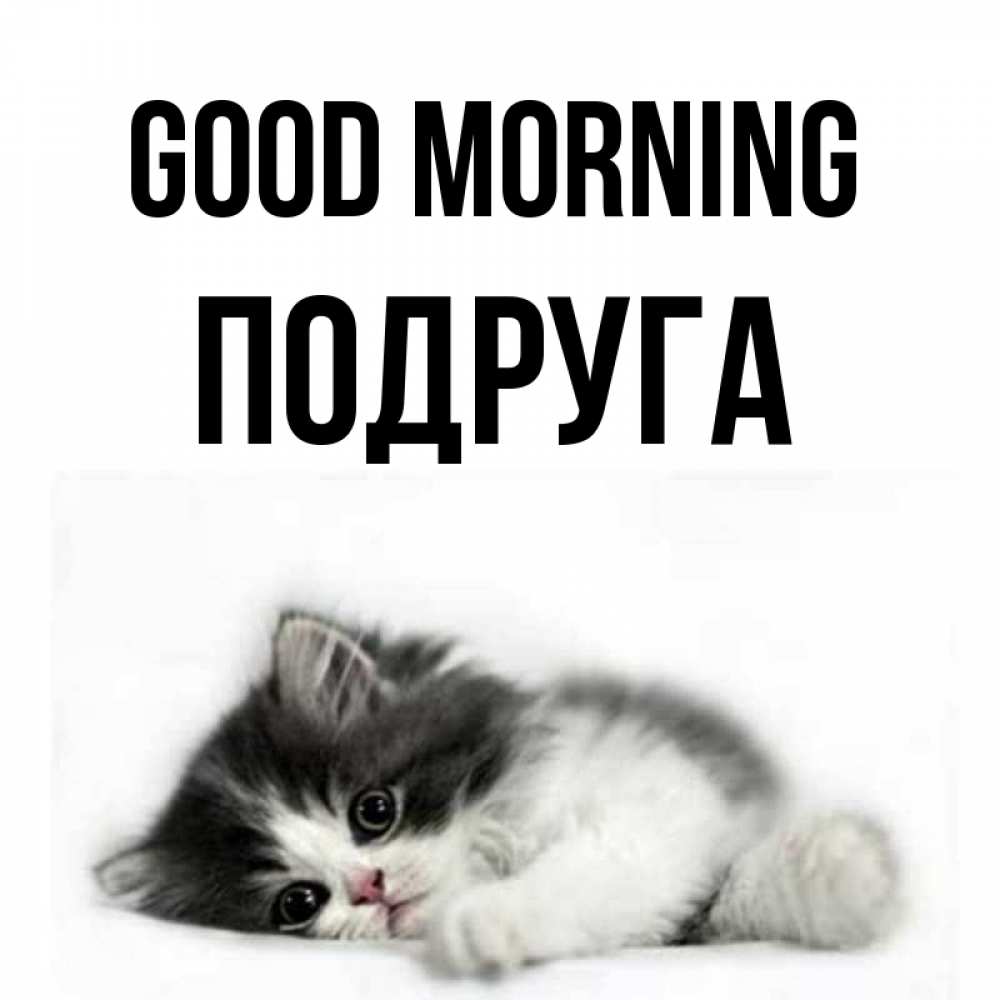 Greetings card с именем, Подруга Good morning кот лапки Greetings with text for free download 