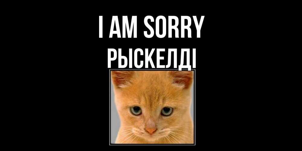 Greetings card с именем, РЫСКЕЛДІ I am sorry рыжий грустный кот просит прощения Greetings with text for free download 