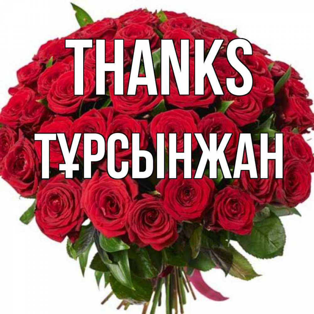 Greetings card с именем, ТҰРСЫНЖАН Thanks букет красных роз Greetings with text for free download 