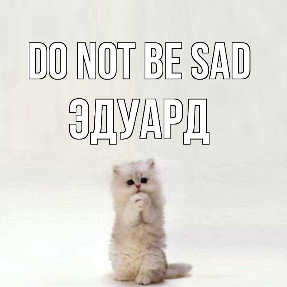 Greetings card с именем, Эдуард Do not be sad грустный кот Greetings with text for free download 