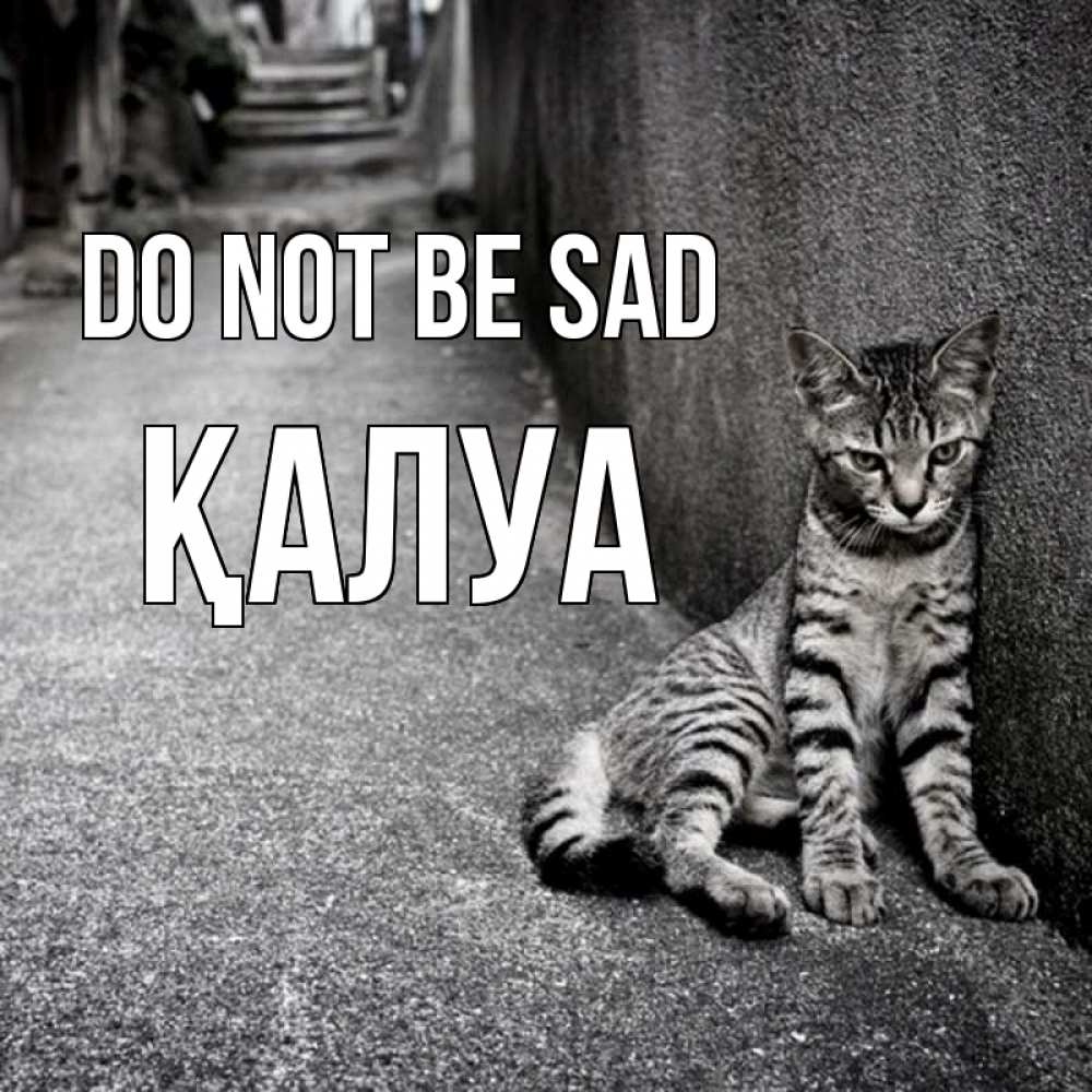 Greetings card с именем, ҚАЛУА Do not be sad скучающий котик Greetings with text for free download 