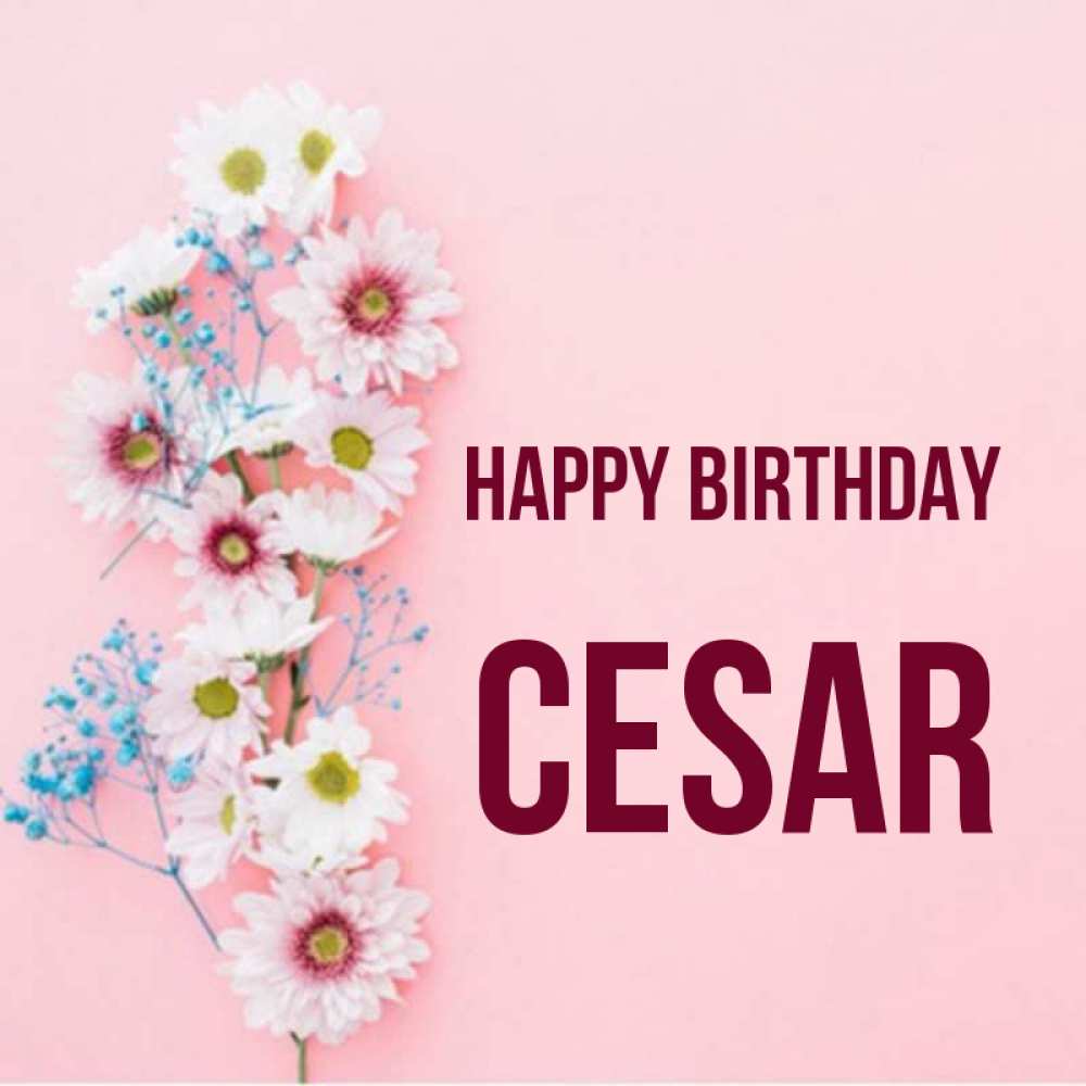 Greetings card с именем, Cesar Happy Birthday Родная моя с днем рождения тебя картинка с цветами белыми и голубыми Greetings with text for free download 