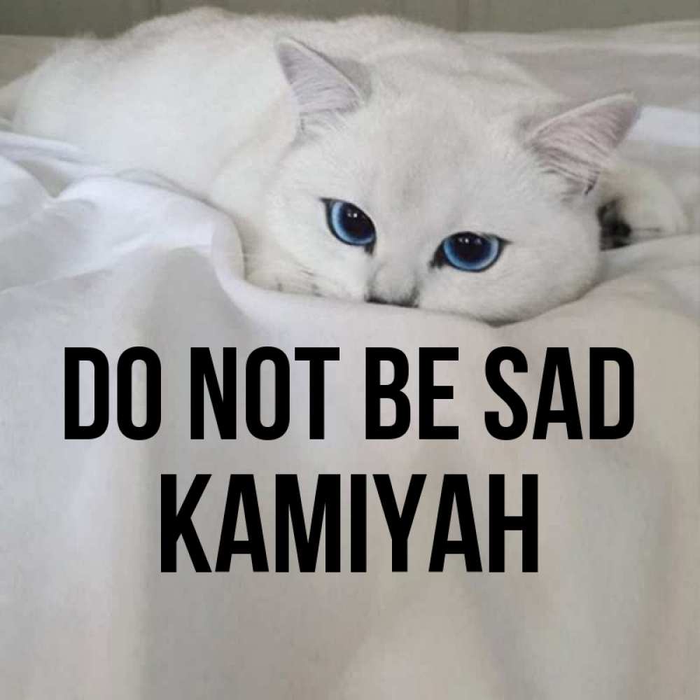 Greetings card с именем, Kamiyah Do not be sad Голубоглазая кошка Greetings with text for free download 