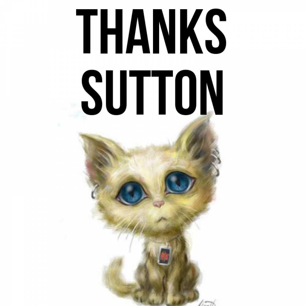 Greetings card с именем, Sutton Thanks рисованный кот благодарит вас Greetings with text for free download 