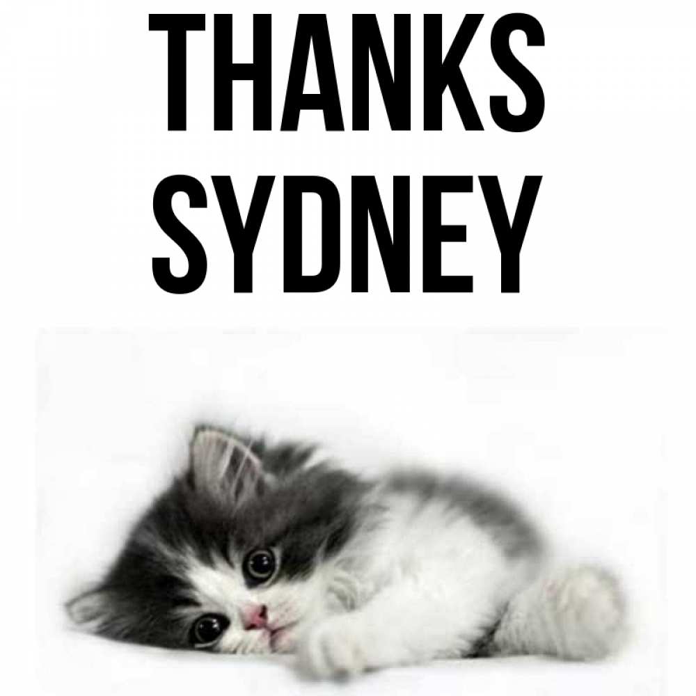 Greetings card с именем, Sydney Thanks черный и белый кот Greetings with text for free download 