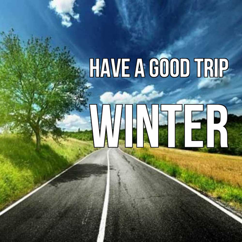Greetings card с именем, Winter Have a good trip яркие деревья и небо Greetings with text for free download 