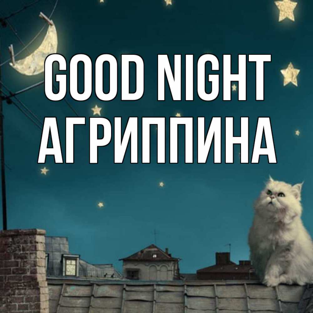Greetings card с именем, Агриппина Good night белый кот сидит на крыше Greetings with text for free download 