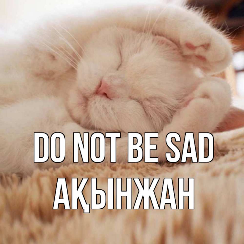 Greetings card с именем, Ақынжан Do not be sad белый кот Greetings with text for free download 