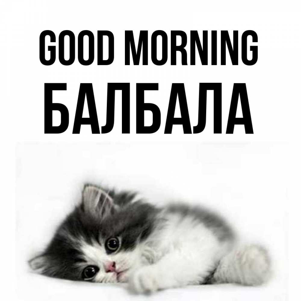 Greetings card с именем, БАЛБАЛА Good morning кот лапки Greetings with text for free download 