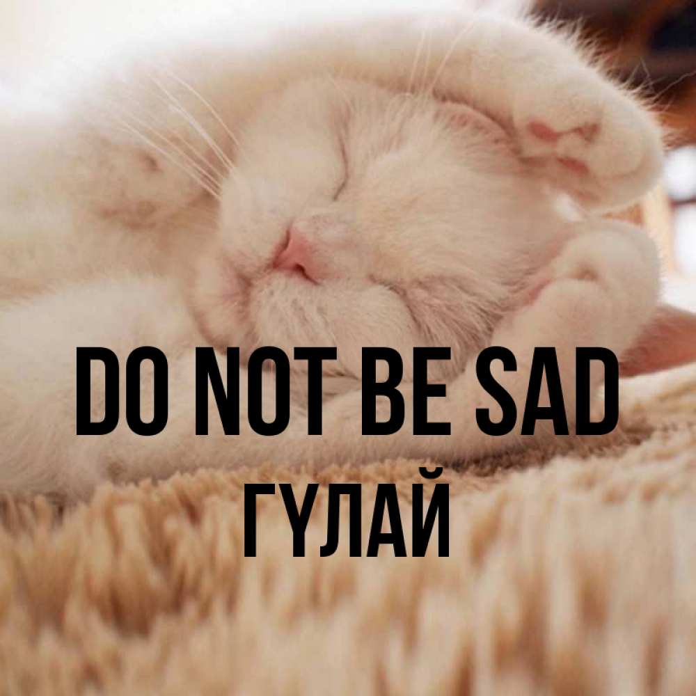 Greetings card с именем, ГҮЛАЙ Do not be sad Котенок спит Greetings with text for free download 