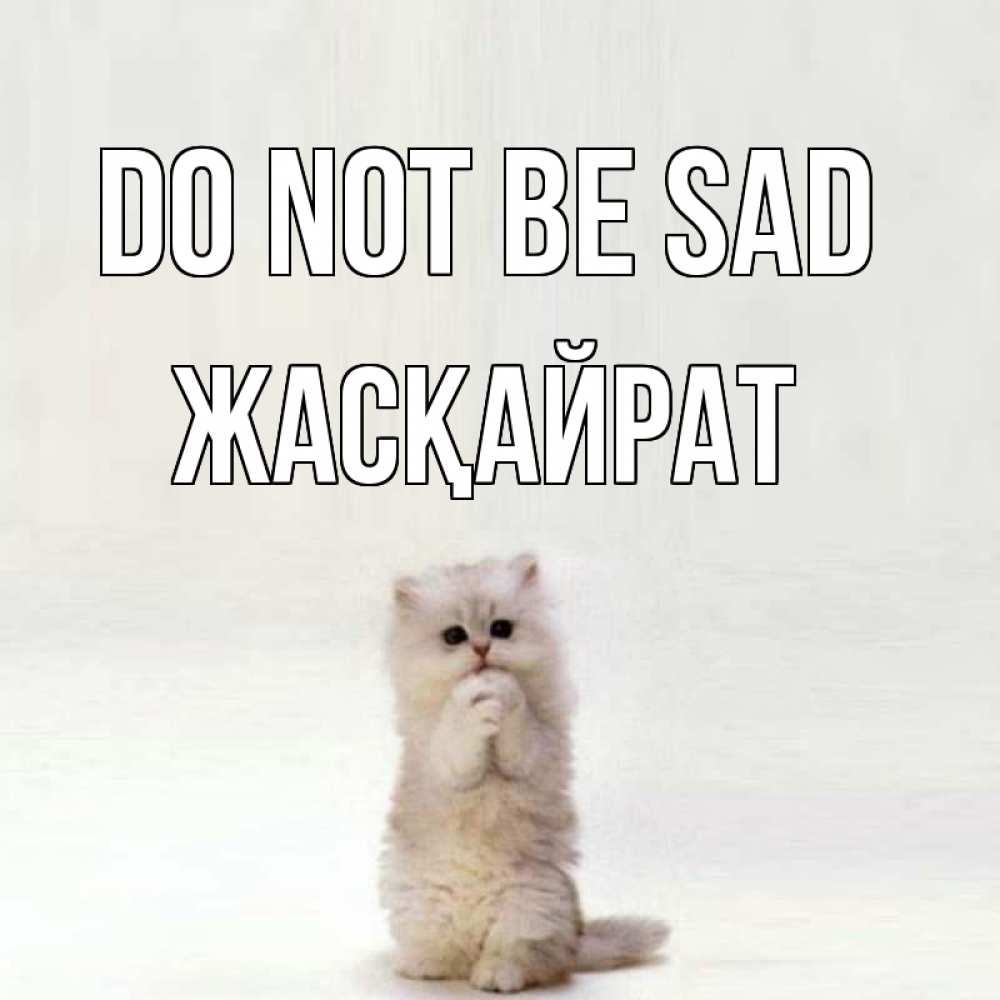 Greetings card с именем, Жасқайрат Do not be sad грустный кот Greetings with text for free download 