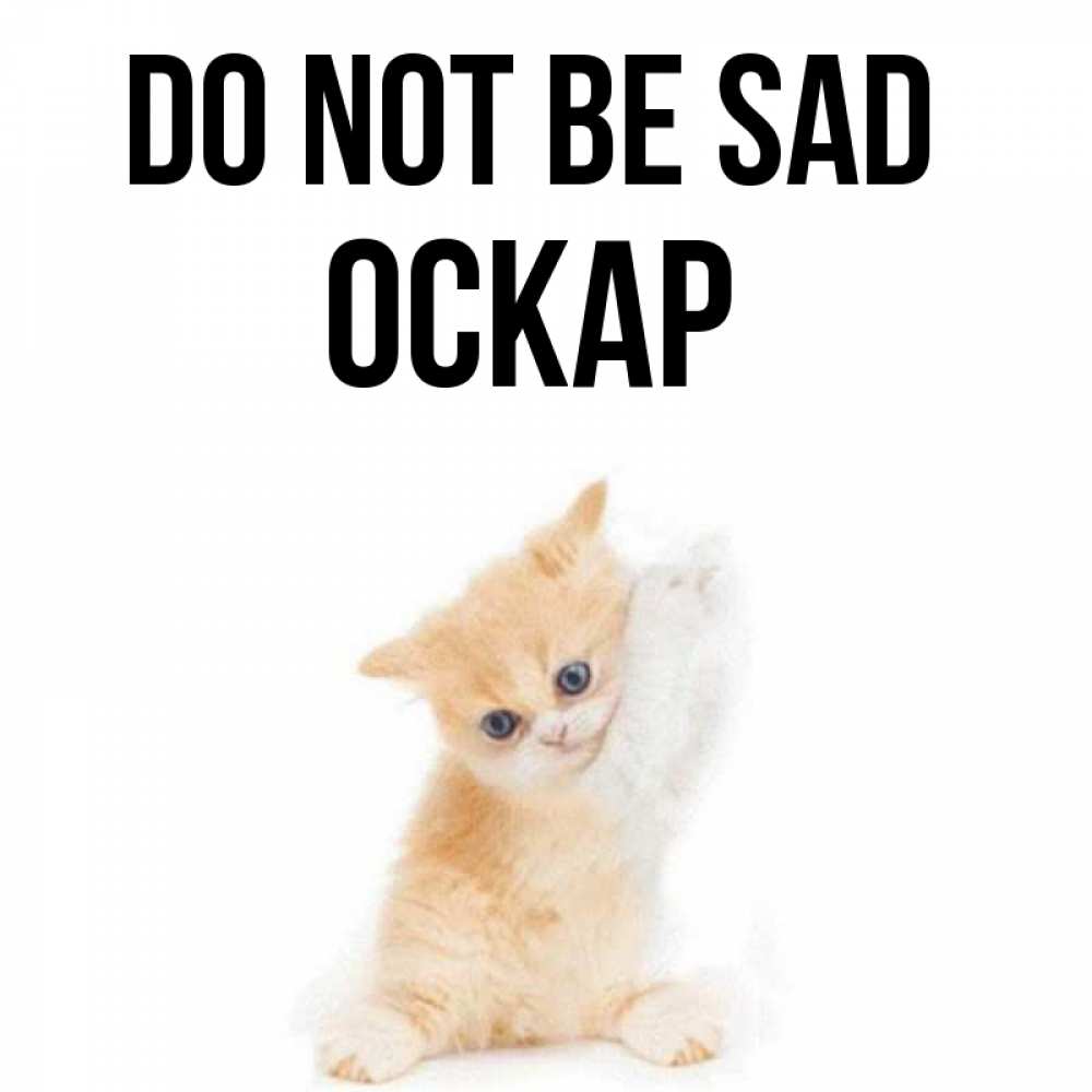 Greetings card с именем, Оскар Do not be sad просящий кот Greetings with text for free download 